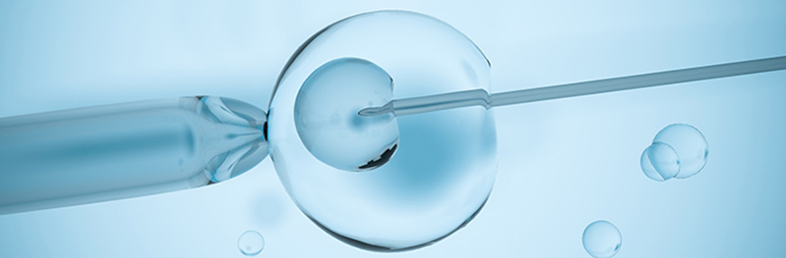 Embriyo Transferi Sonrası Neler Yapmalıyım?