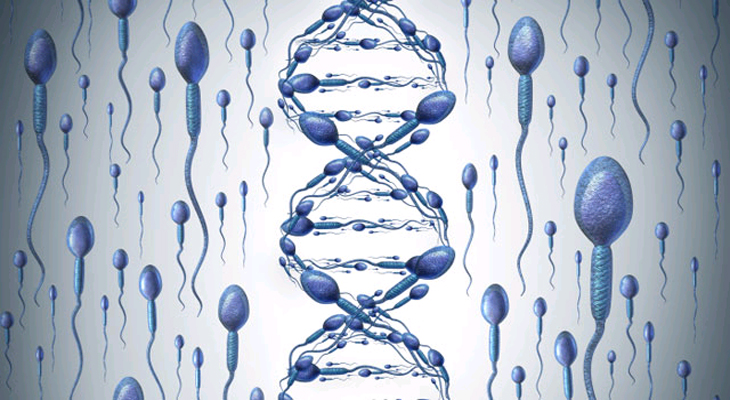 Sperm DNA Fragmantasyonu